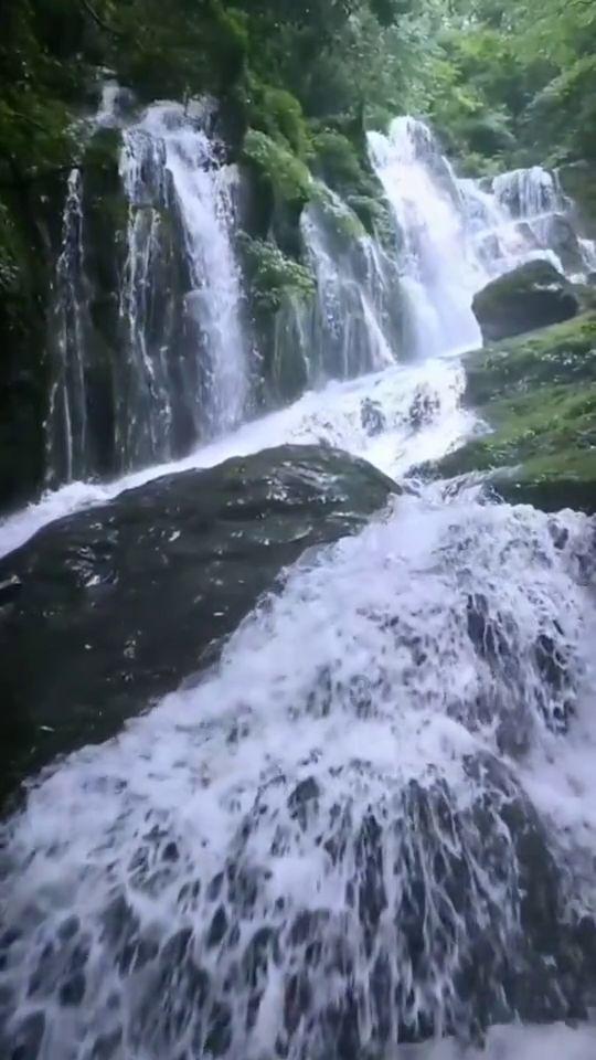 高压均质机的压力表要如何防腐？-海谊科技