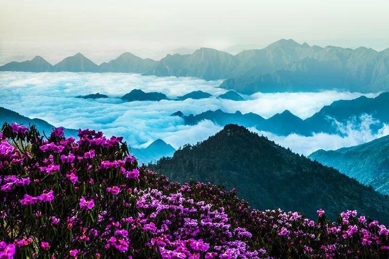 史上最坑爹的游戏9电脑版