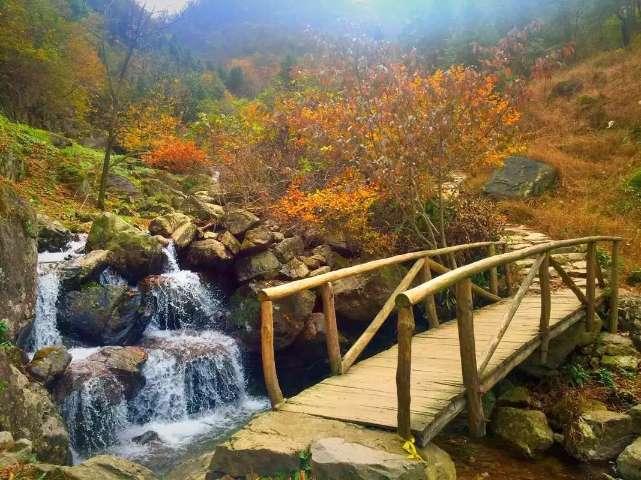 壬二酸和果酸怎么如何选择?水杨酸、果酸、杏仁酸、壬二酸详解